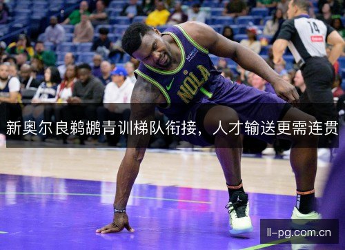 新奥尔良鹈鹕青训梯队衔接,人才输送更需连贯 新奥尔良鹈鹕青训梯队衔接,人才输送更需连贯